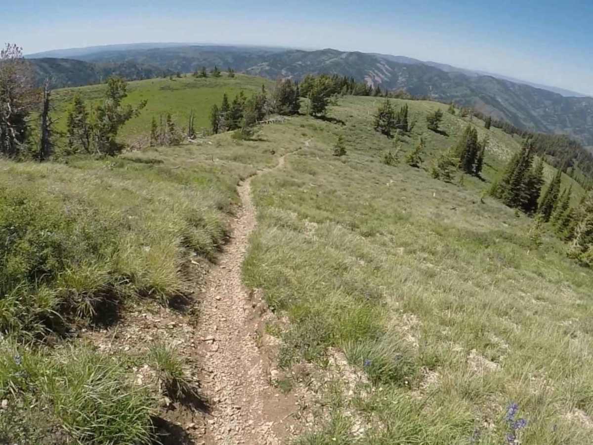 Warm Springs photo 4