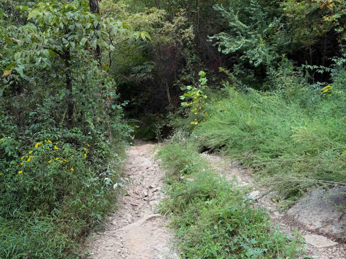 Little Bull Creek Loop 10  photo 6