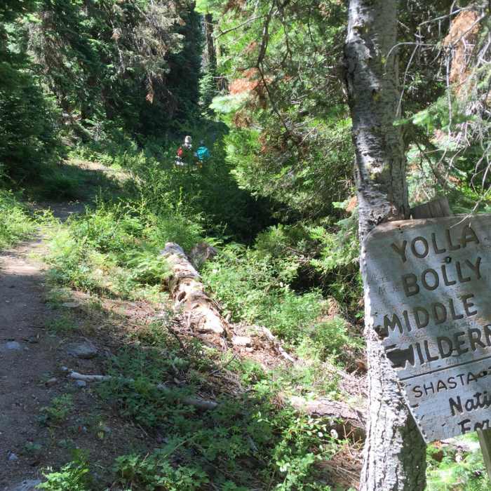 Near North Yolla Bolly