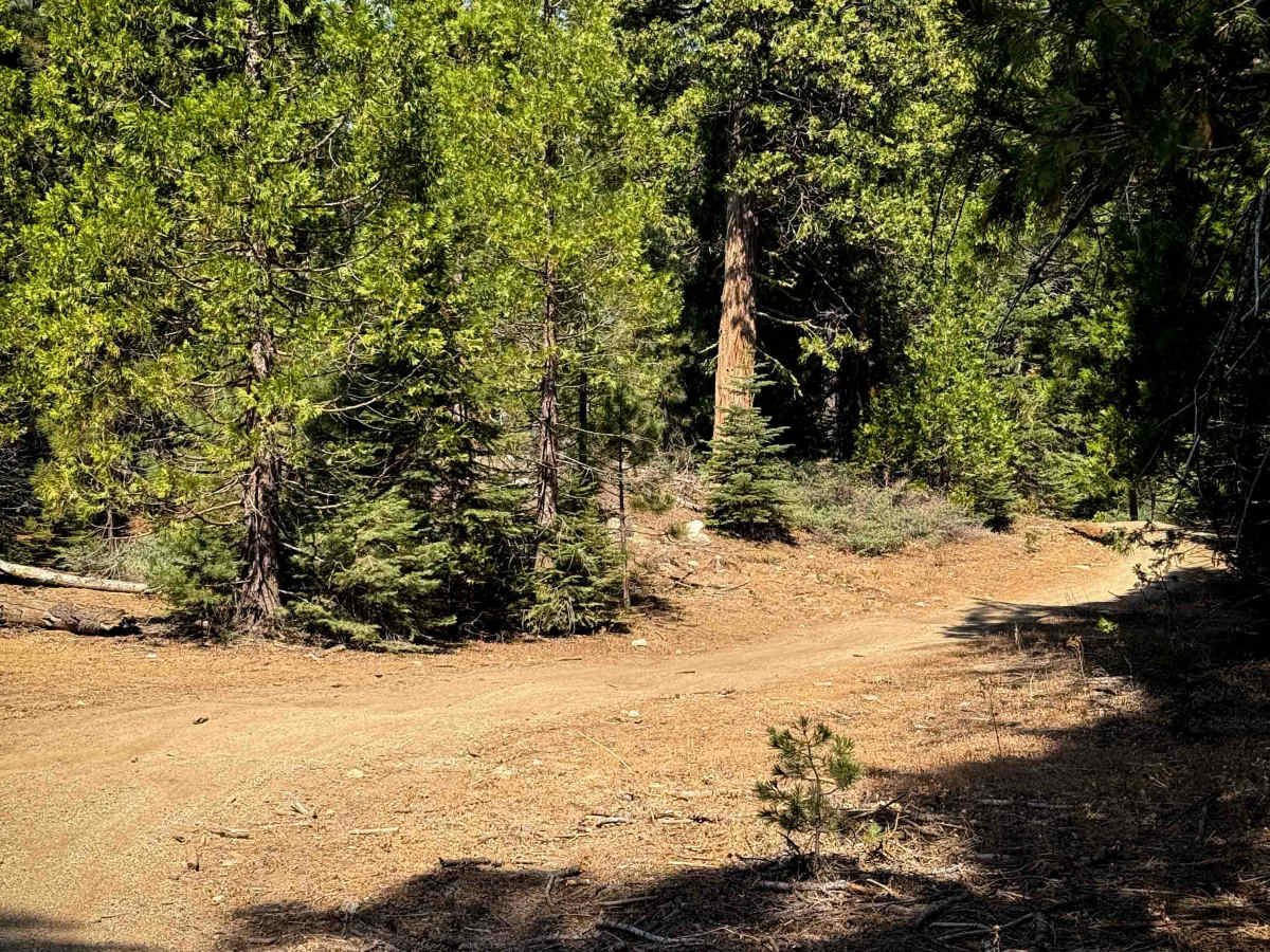 23E268 photo 6