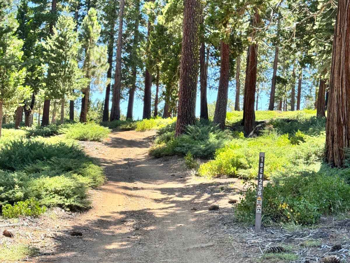 Pinecrest - FS 18EV256 trail photo