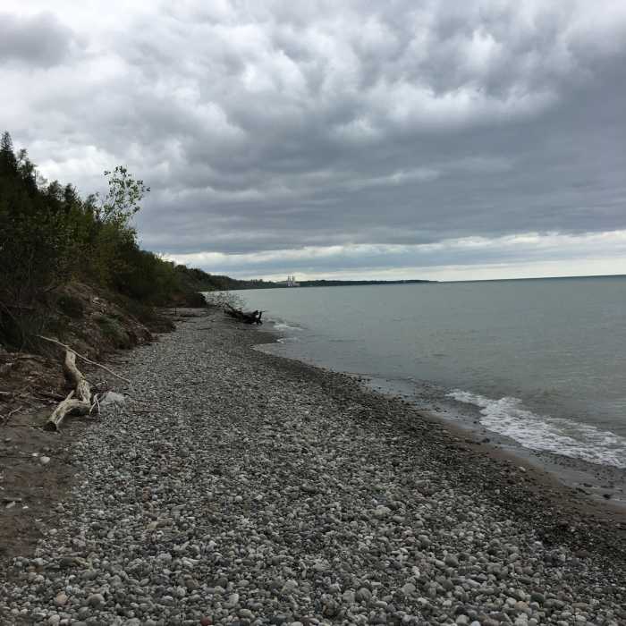 Near Lion's Den Trail