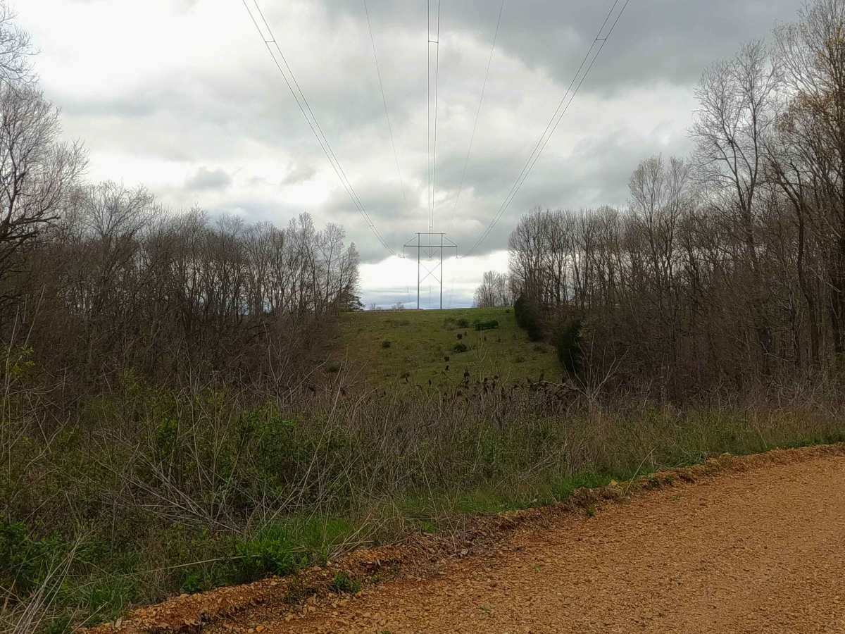 Mayfield Road - BCR 356 photo 5