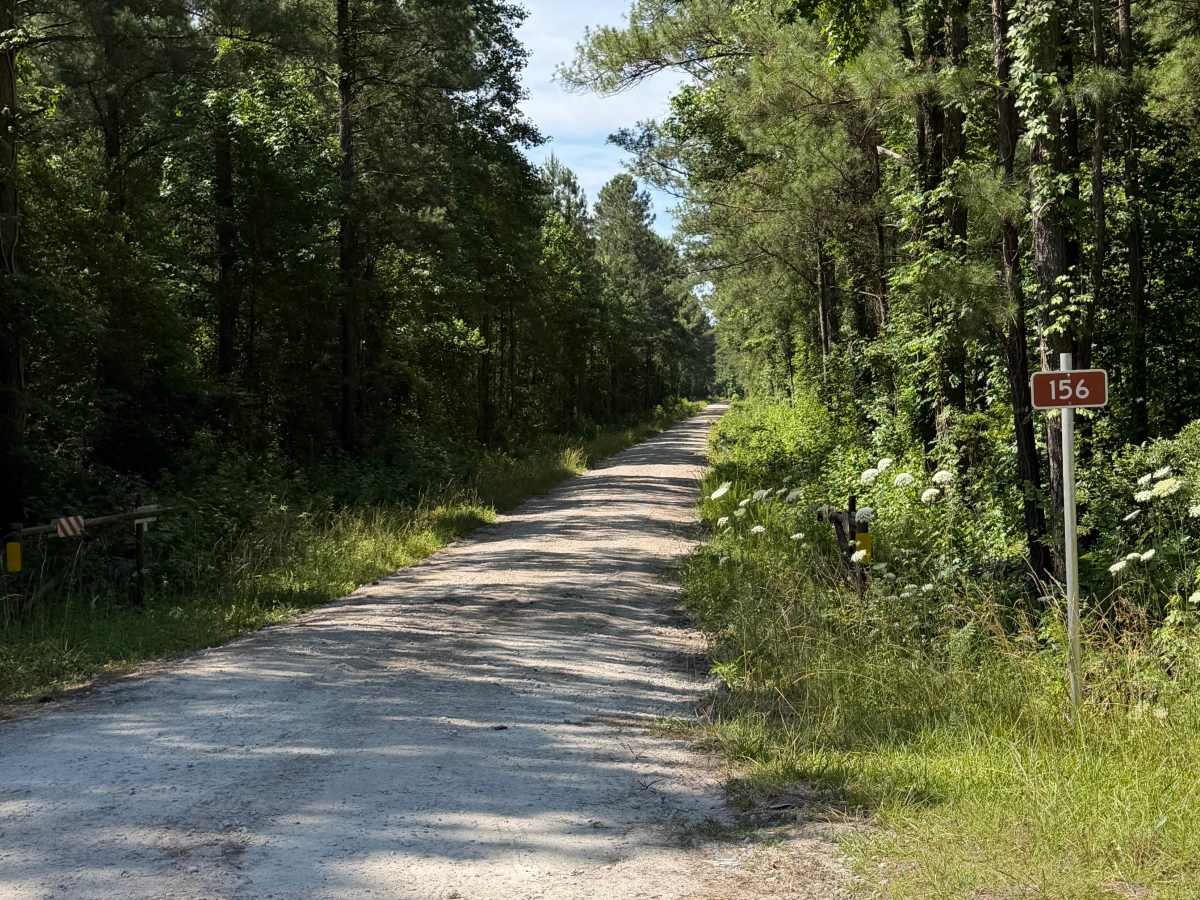 Pine Grove - FS 156 photo 2