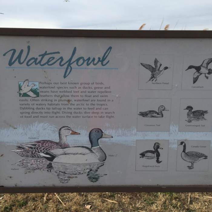 Near Bountiful Lake Trail