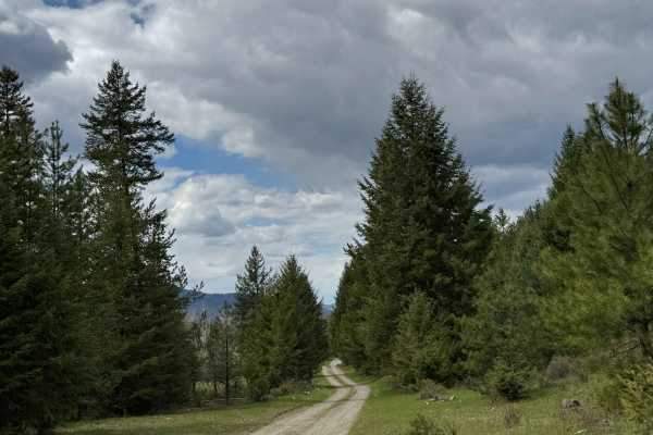 Box Canyon - FS 1500-030