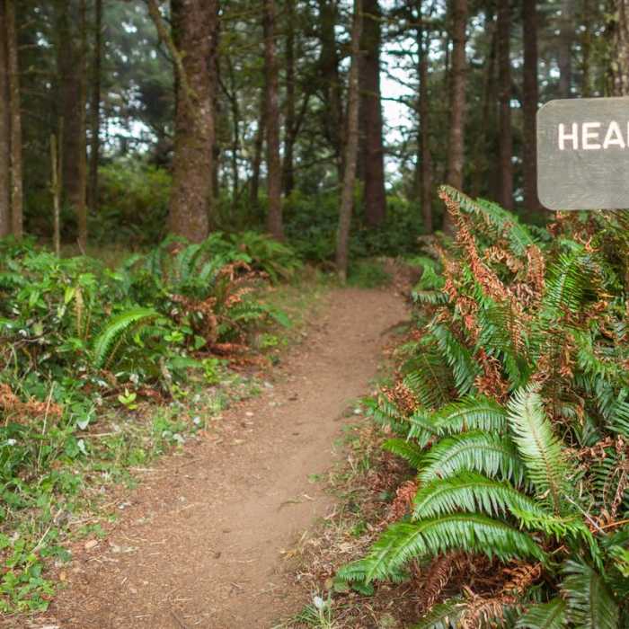Near Port Orford Heads State Park Trails