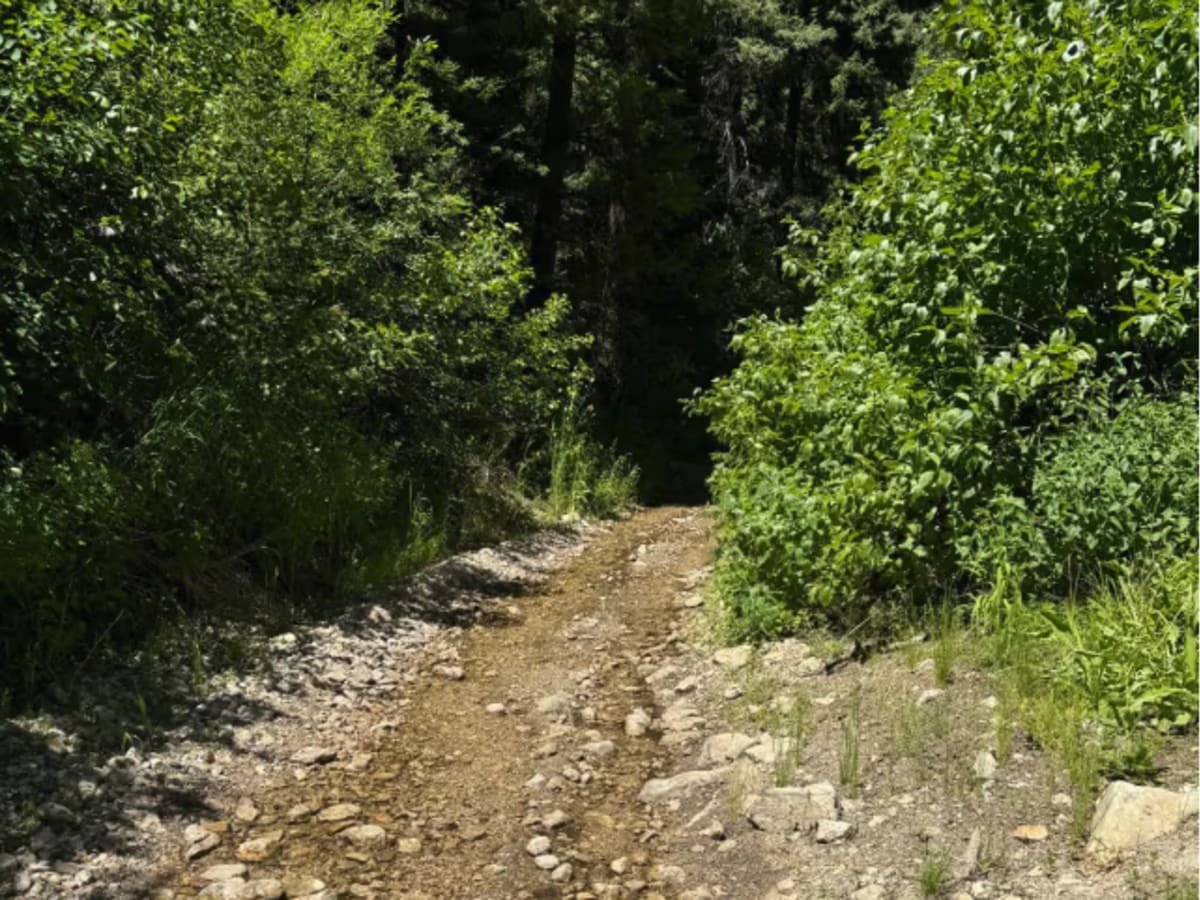 Iron Mountain-  FS 7050 photo 4