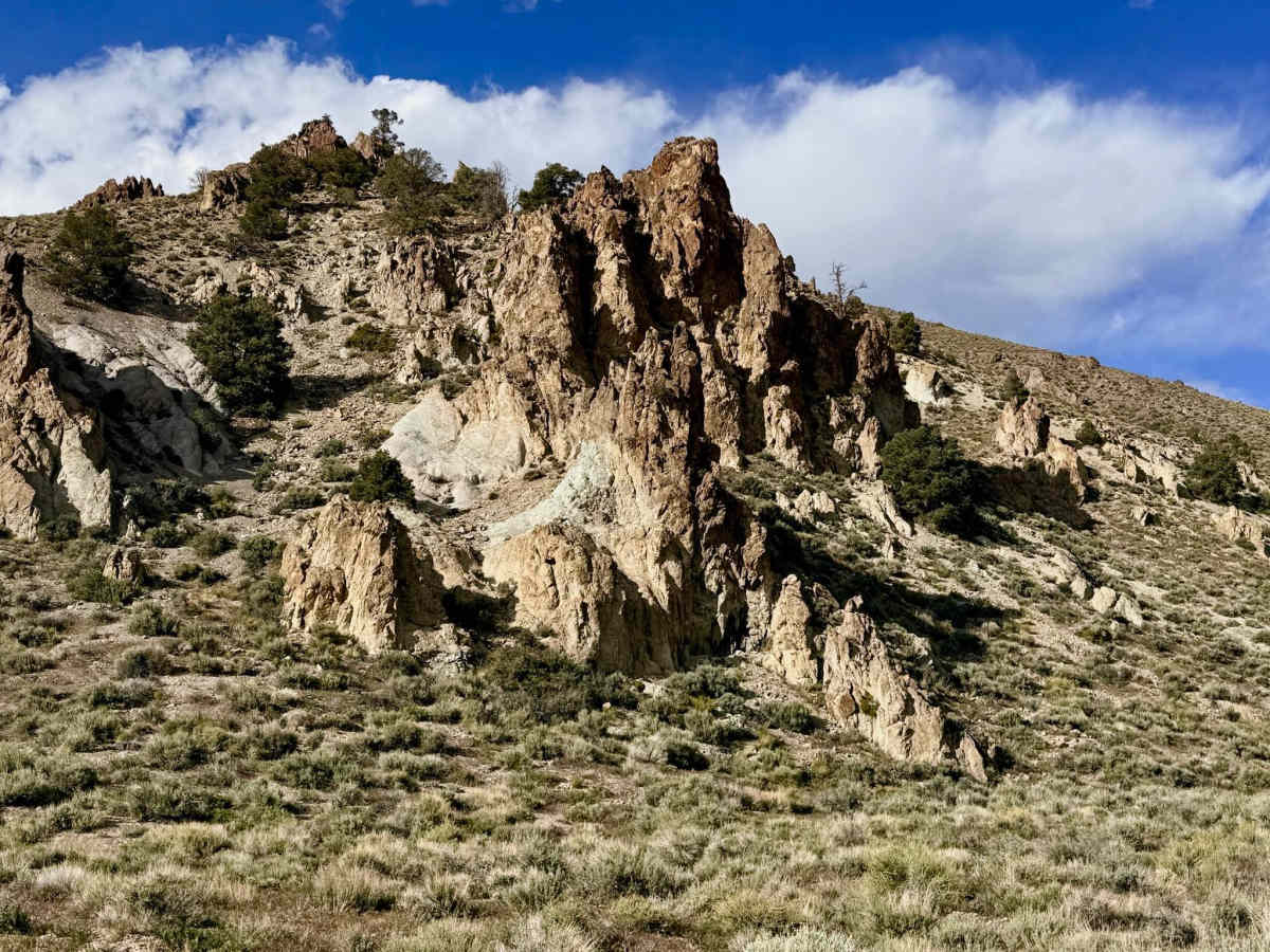  Horse Creek - FS 44166 photo 2