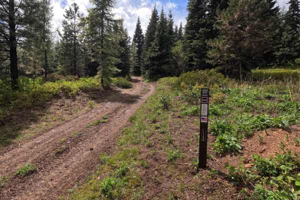 Jeepers Creepers - Trail 260
