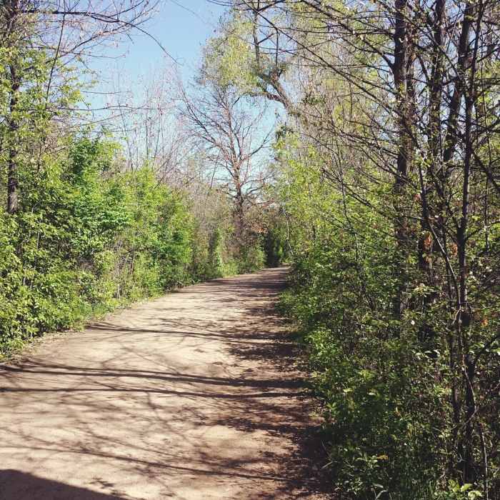Near Highline Canal Trail