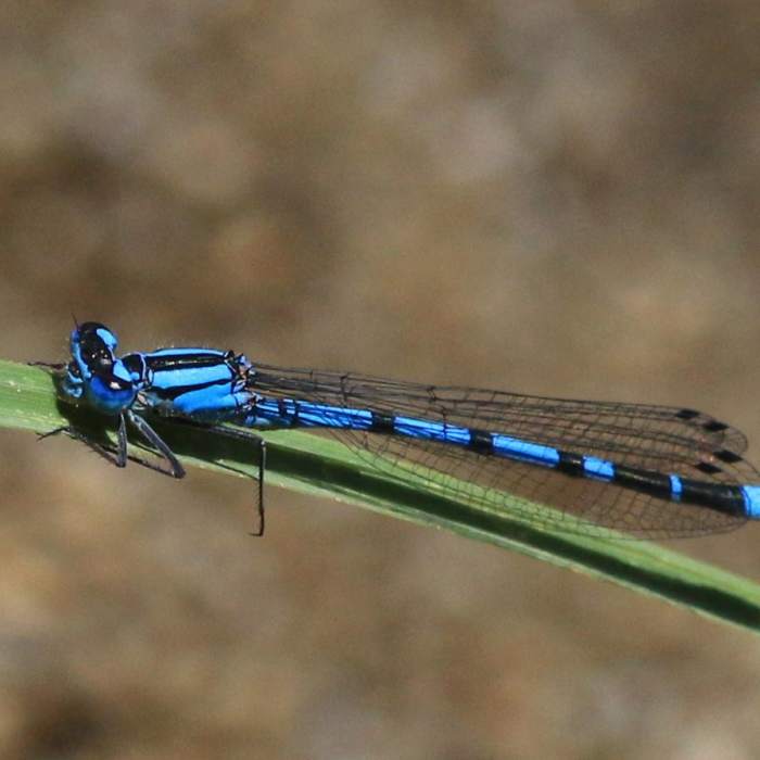 Near Lucky Lake Hike