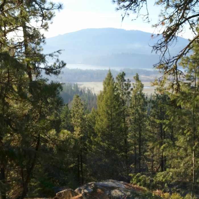 Near Sherwood Forest Trail