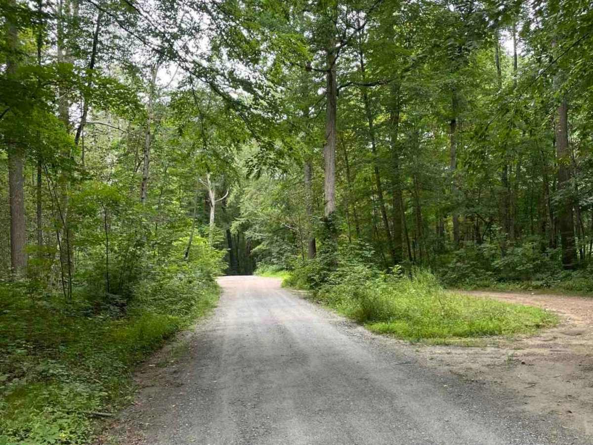 Old Country Road photo 4