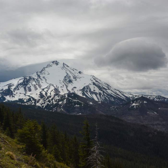Near Bear Point Trail #3342