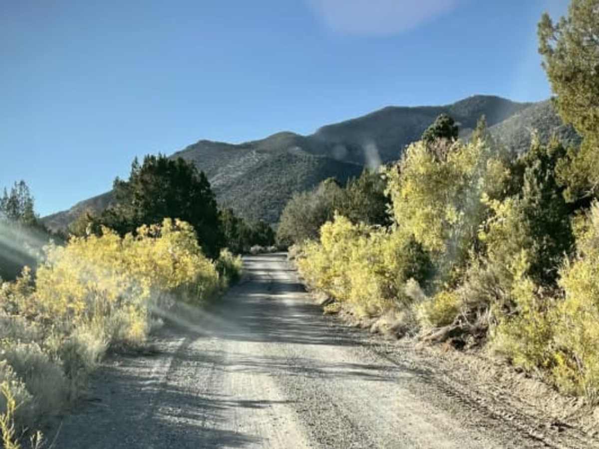 Snake Creek Road photo 6