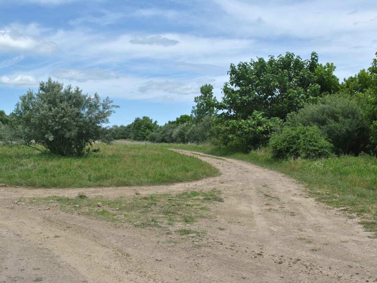 23B trail photo