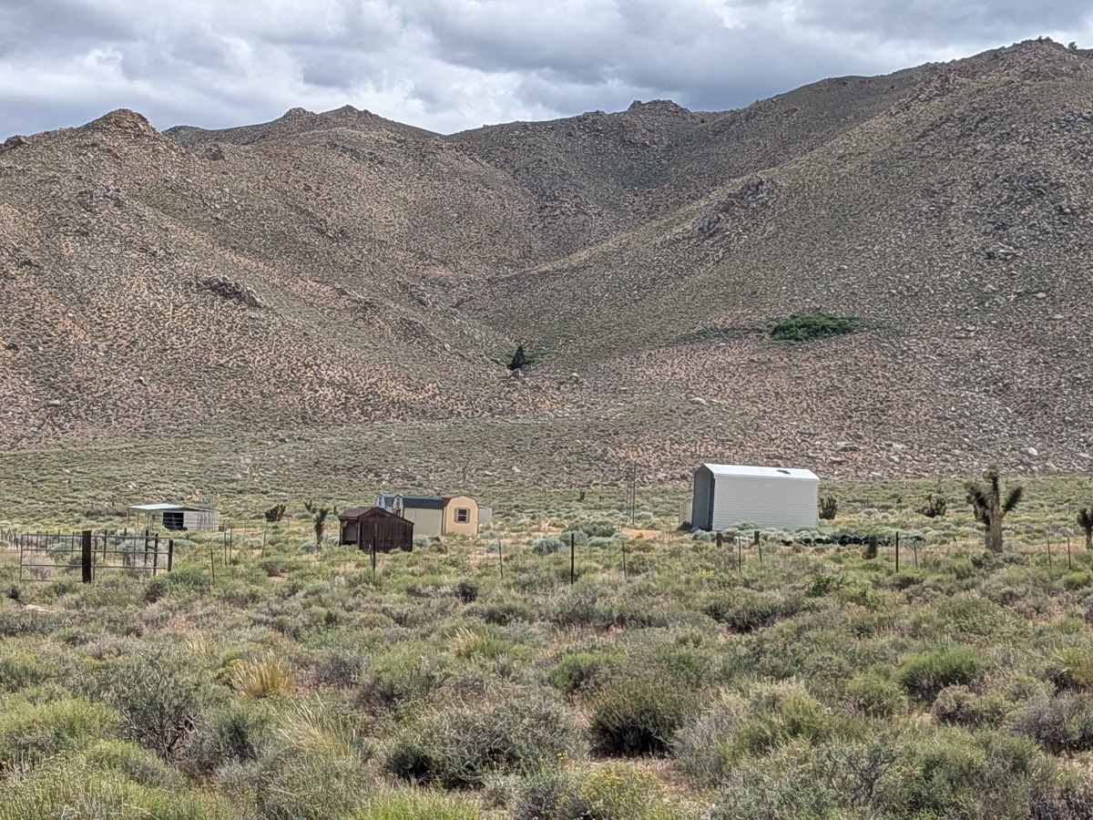 BLM SE743 photo 3