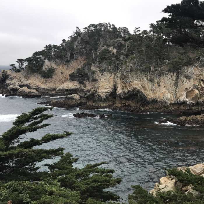 Near Cypress Grove Trail