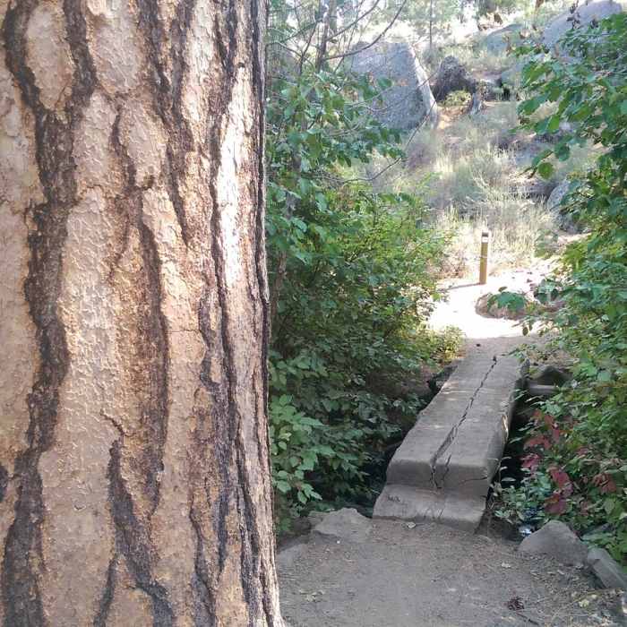Near Shevlin Loop Trail