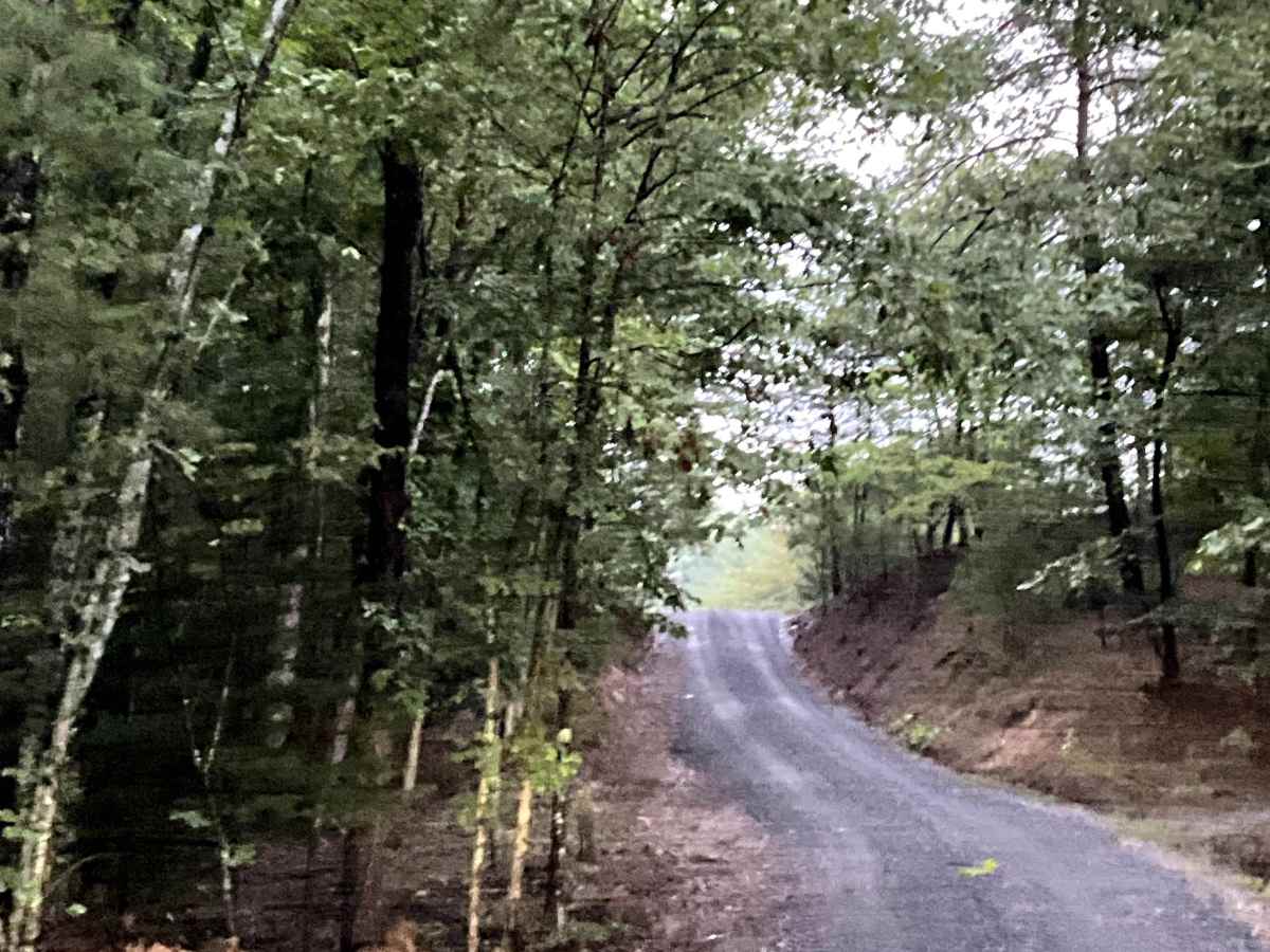 McDaniel Drive photo 3