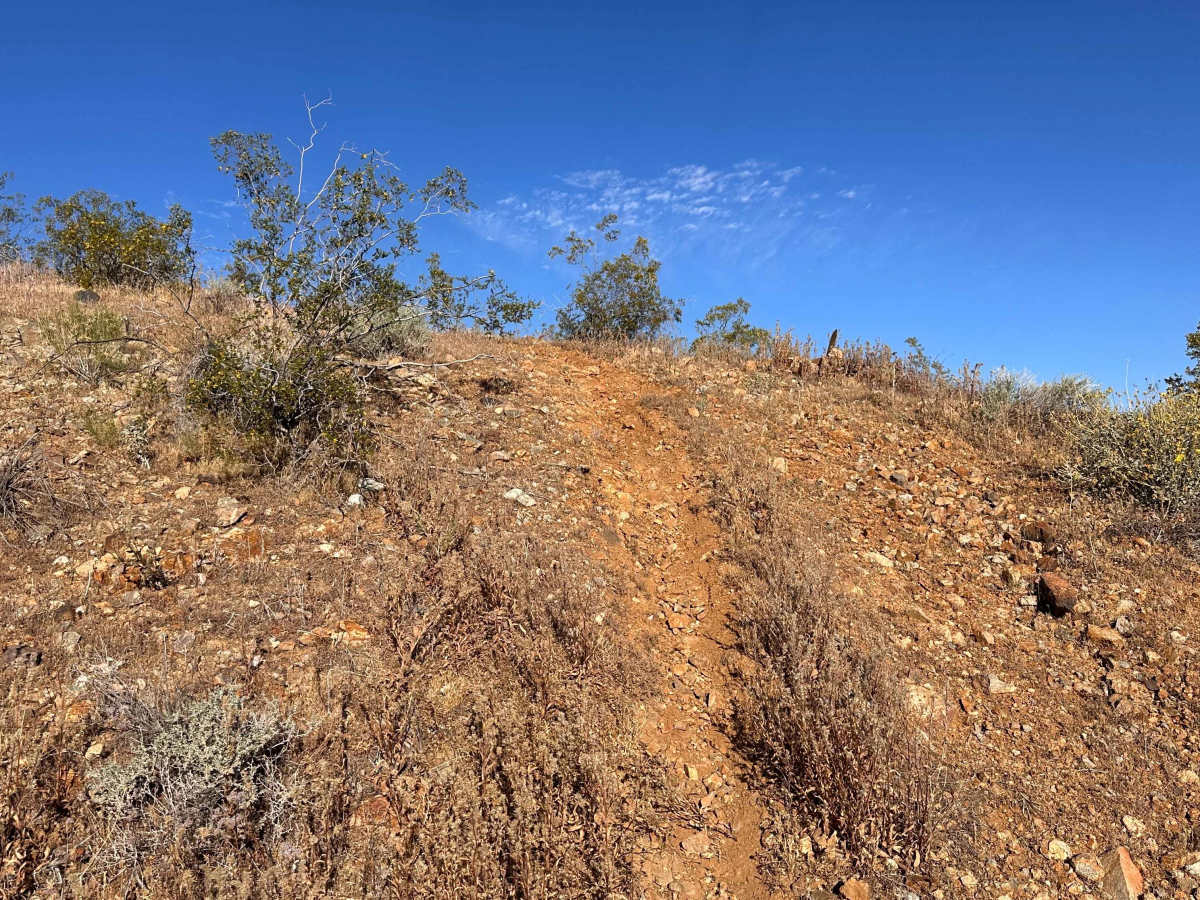 Sagebrush Run photo 2