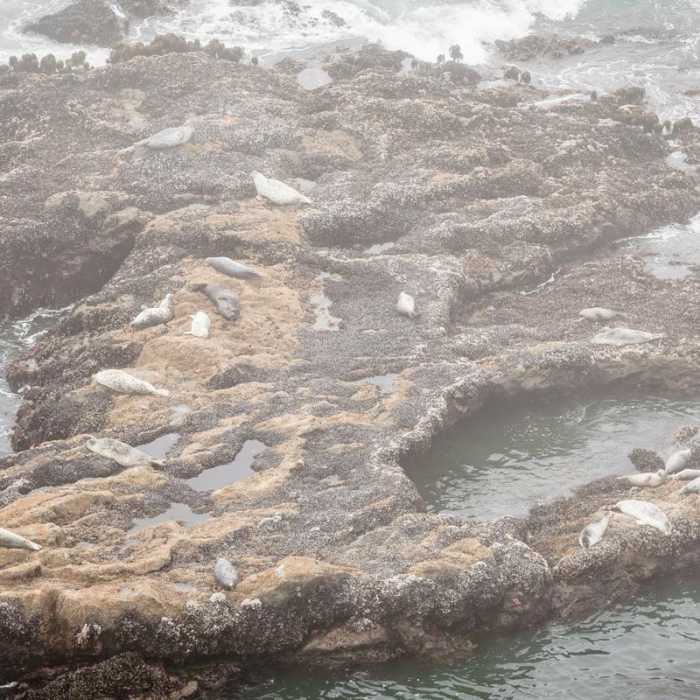 Near Port Orford Heads State Park Trails