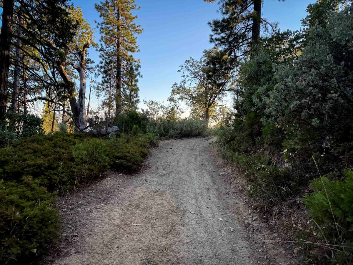 21E238 photo 6