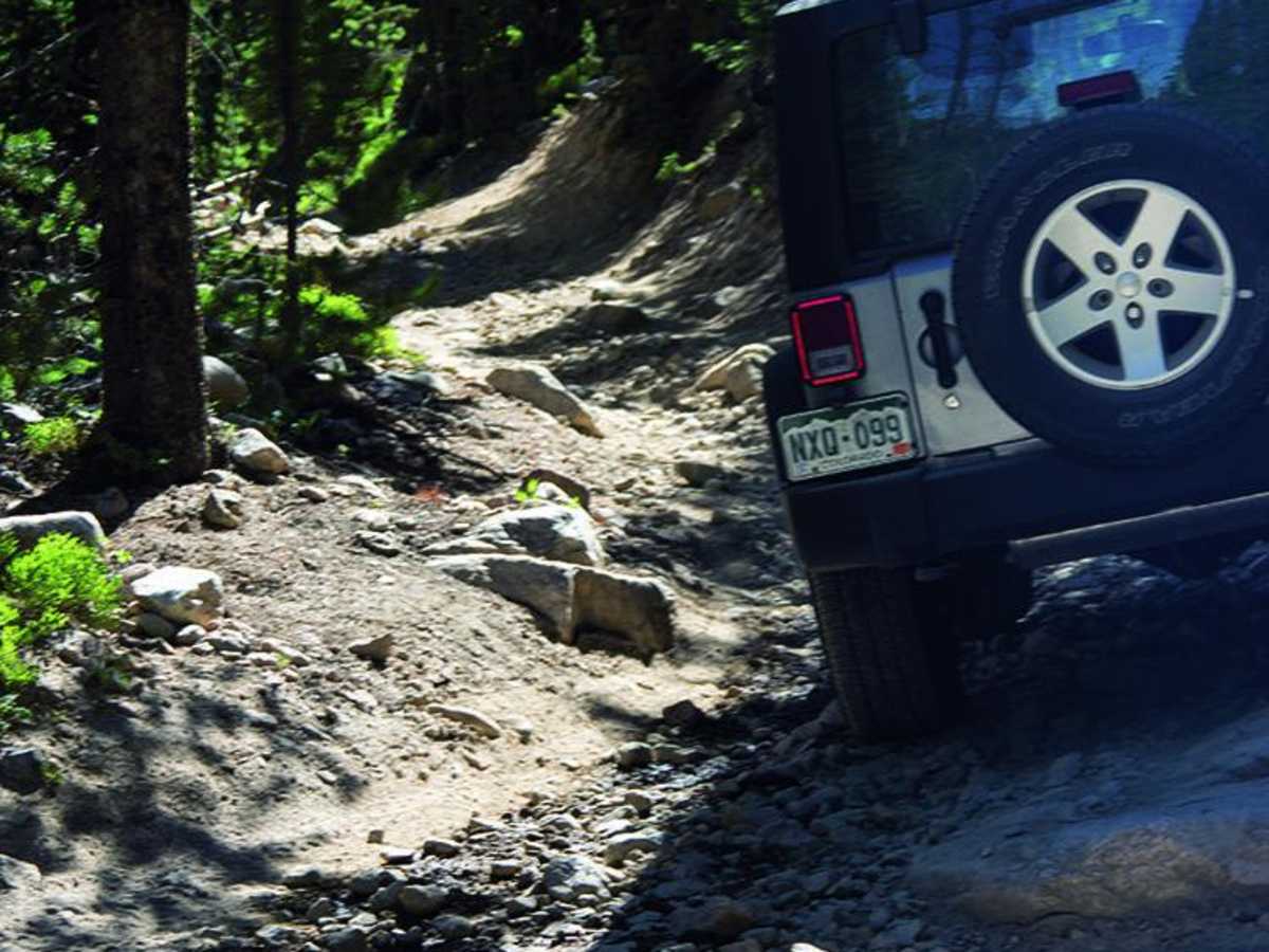 Montgomery Pass trail photo