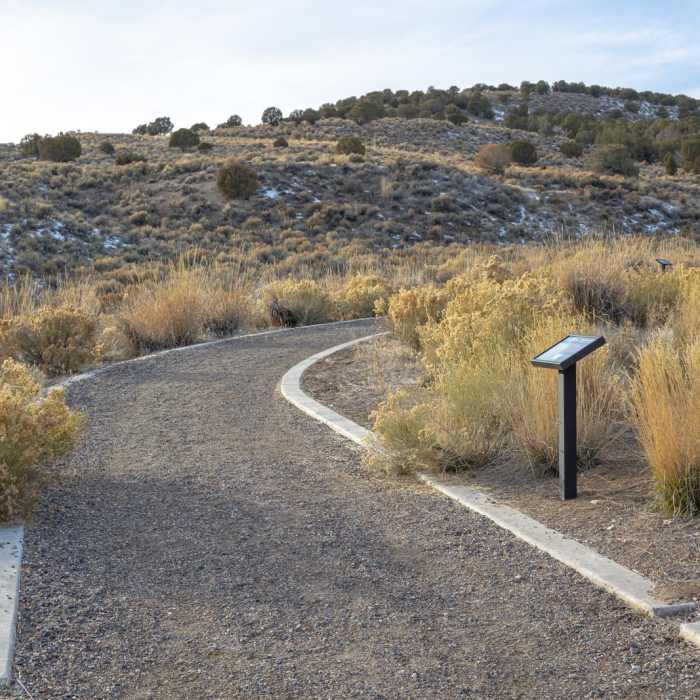 Near California Trail Overlook