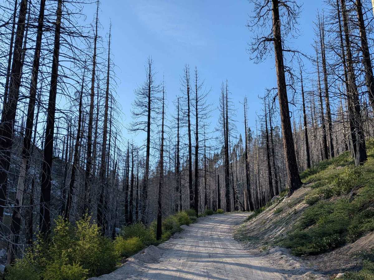 Parker Forks - FS 22S18 trail photo
