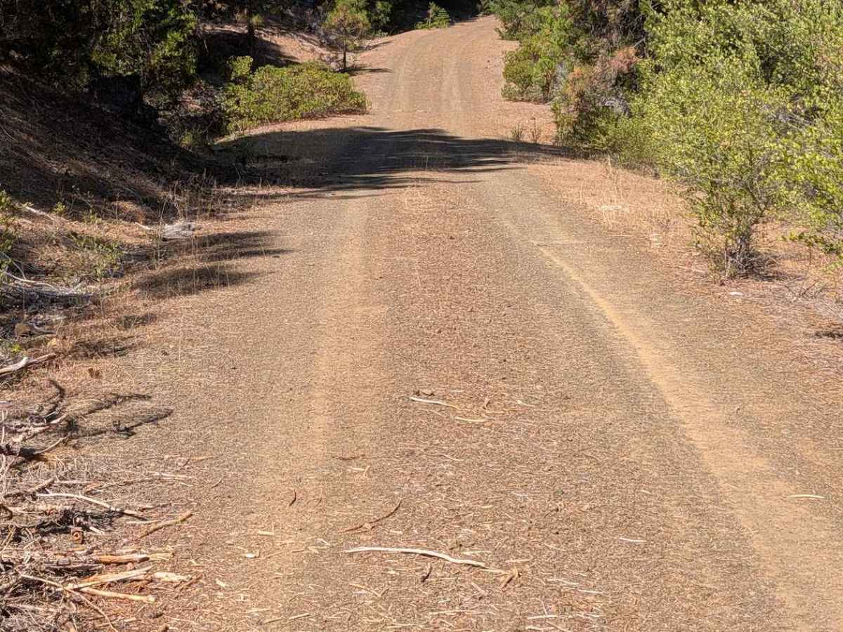 Naufus Creek Road - FS 1N09 photo 5
