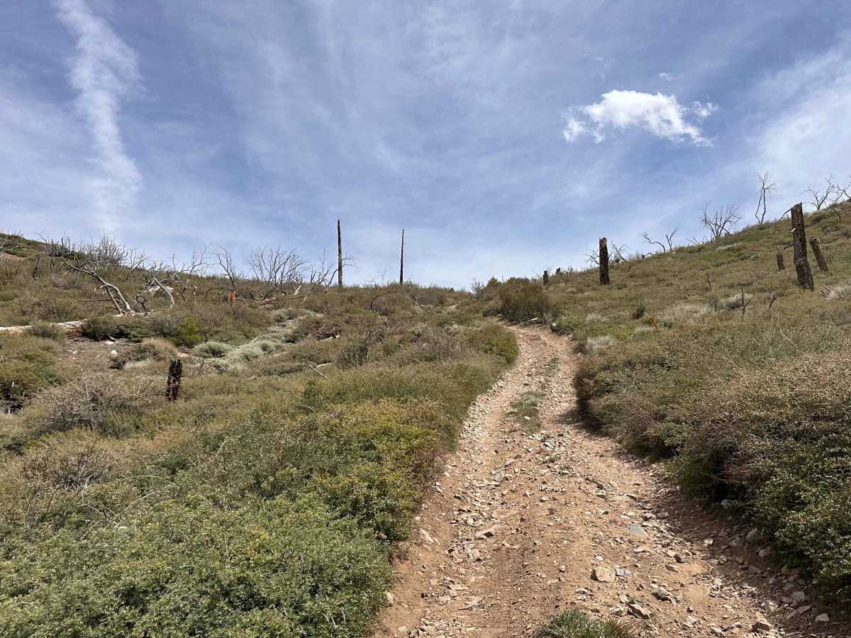 Prospector's Cutoff photo 2