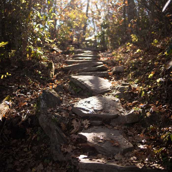 Near Mount Pisgah via the Buck Spring Trail Near Mount Pisgah via the Buck Spring Trail