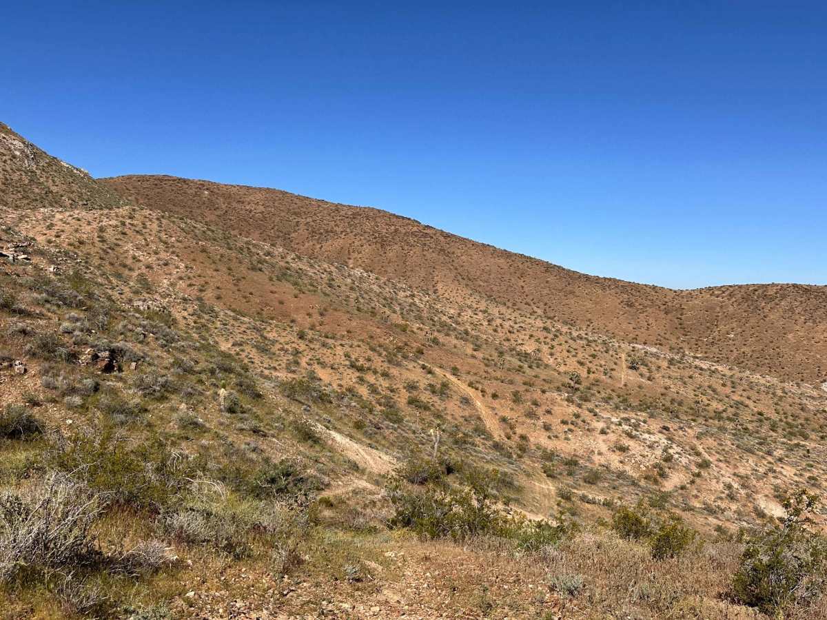 Painted Canyon Run photo 5