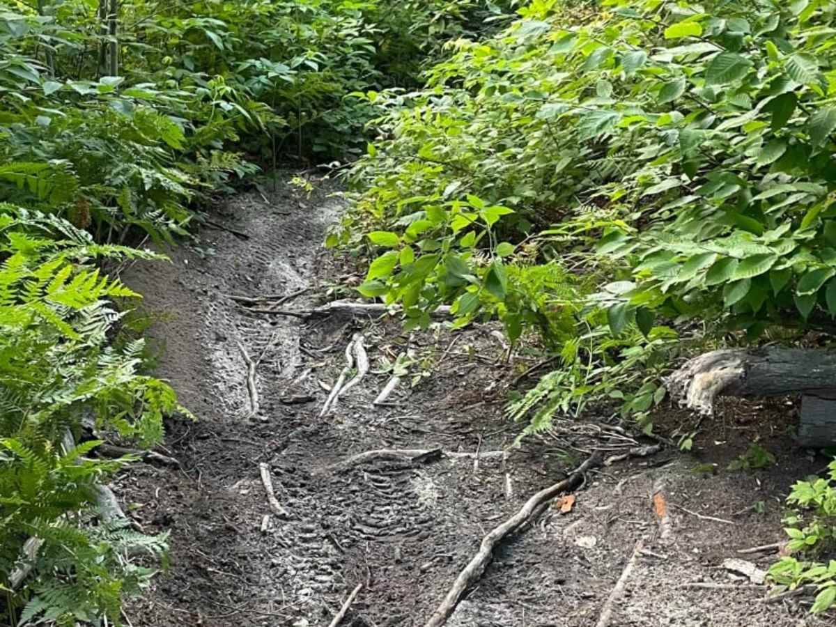 Tomahawk B Loop - Blackberry Ridge Section photo 6