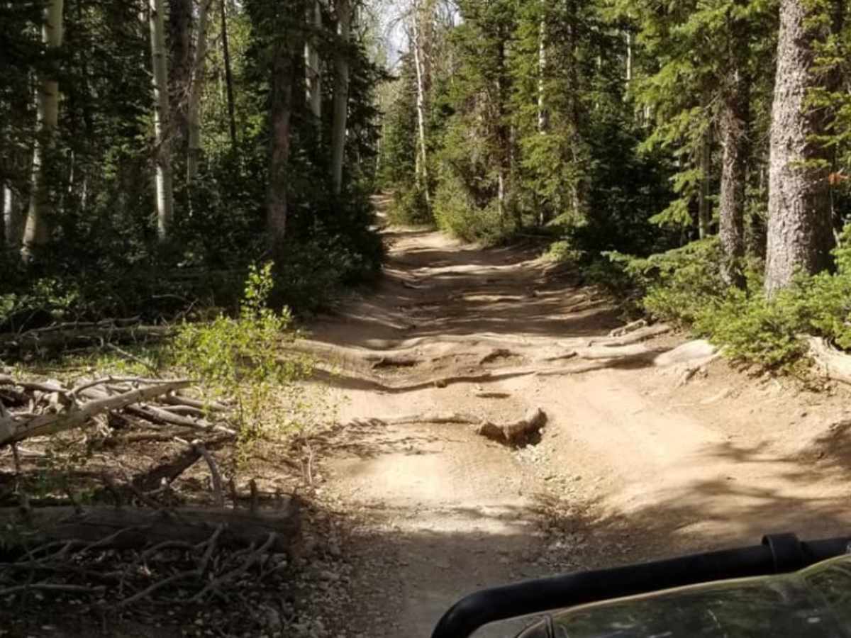 Powell Point Trail photo 5