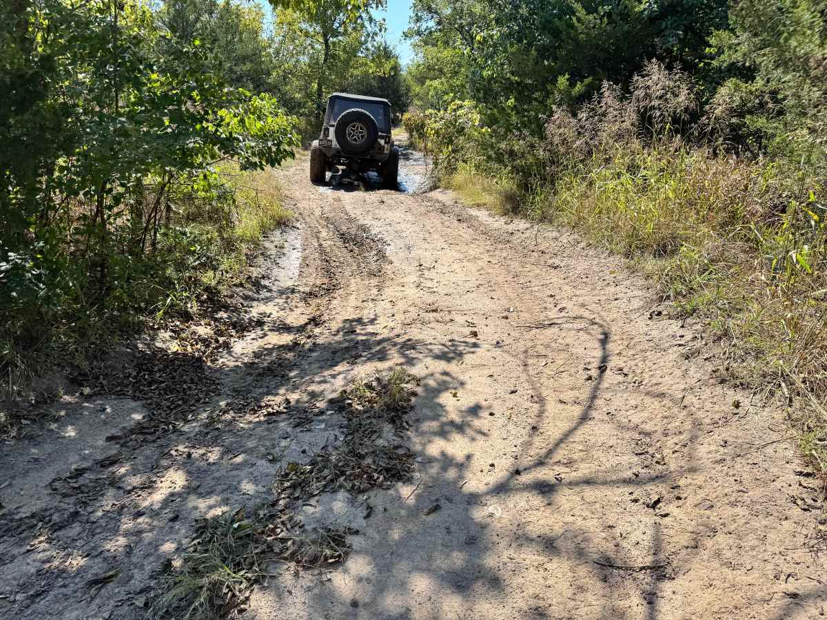 Mud Flap Meadow photo 4