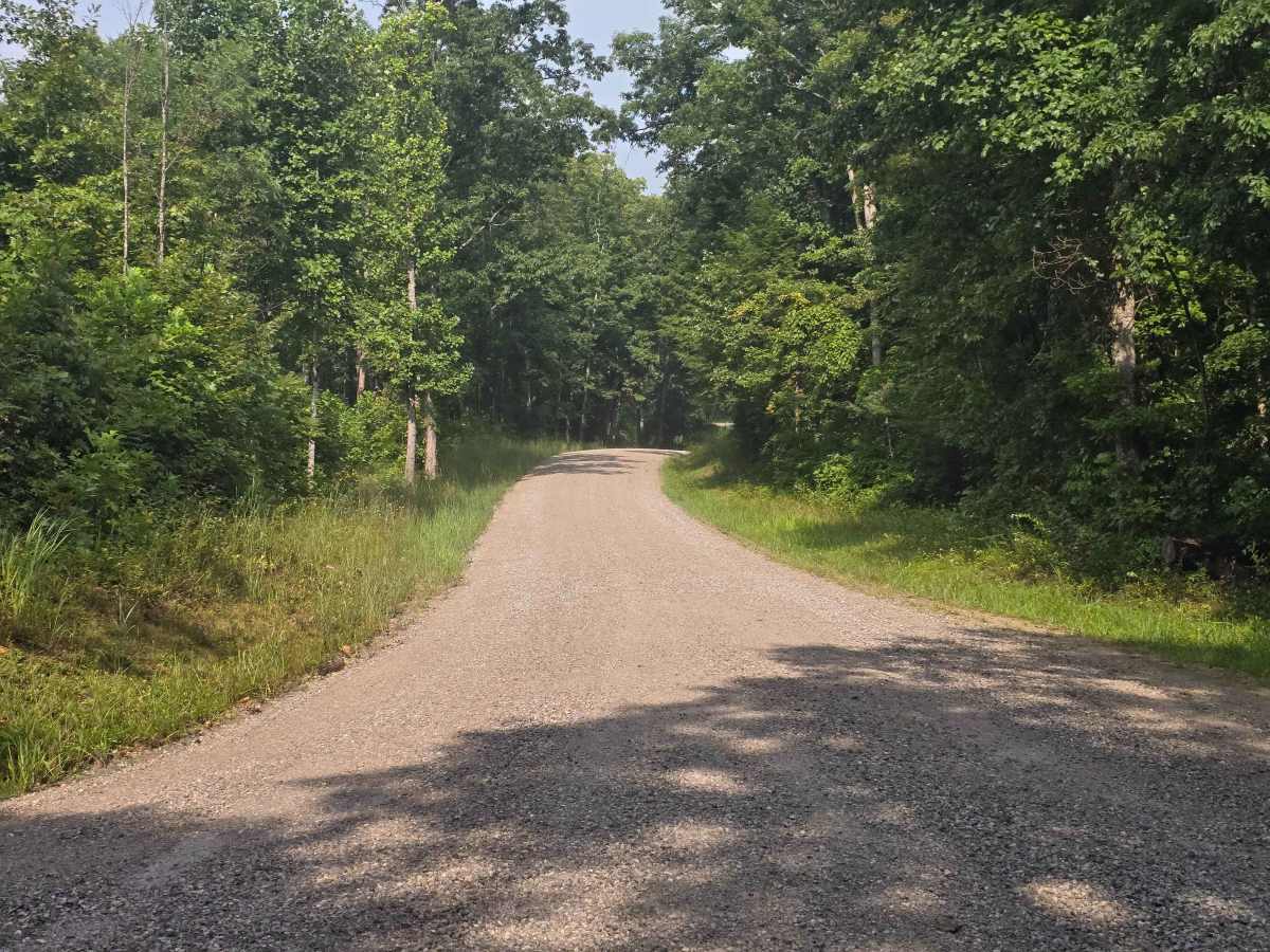 Fork Ridge Road trail photo
