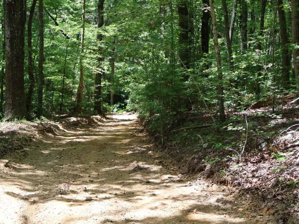 Shingle Loop photo 3