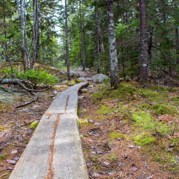 Near Cadillac Mountain South Ridge Trail Near Cadillac Mountain South Ridge Trail