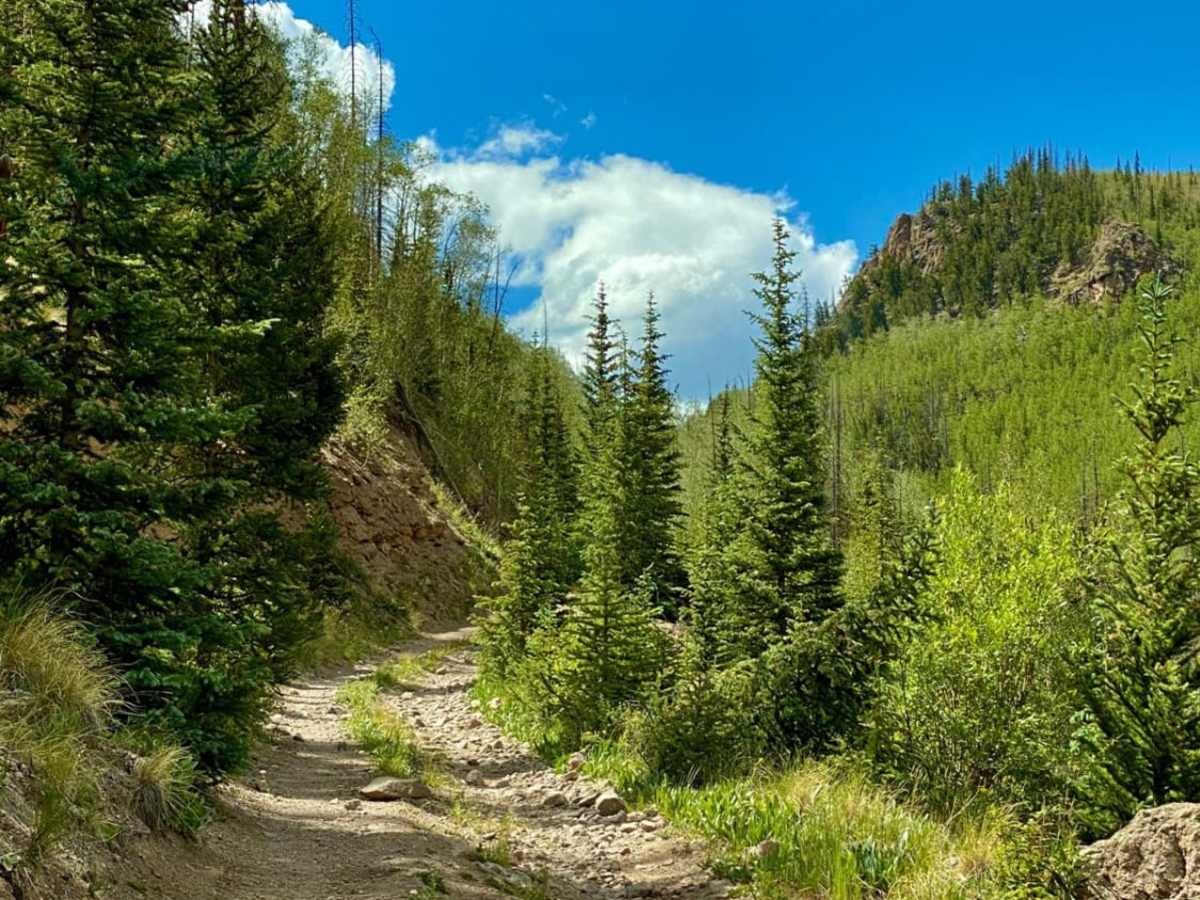 Middle Rat Creek Road - NF 504-1B photo 2
