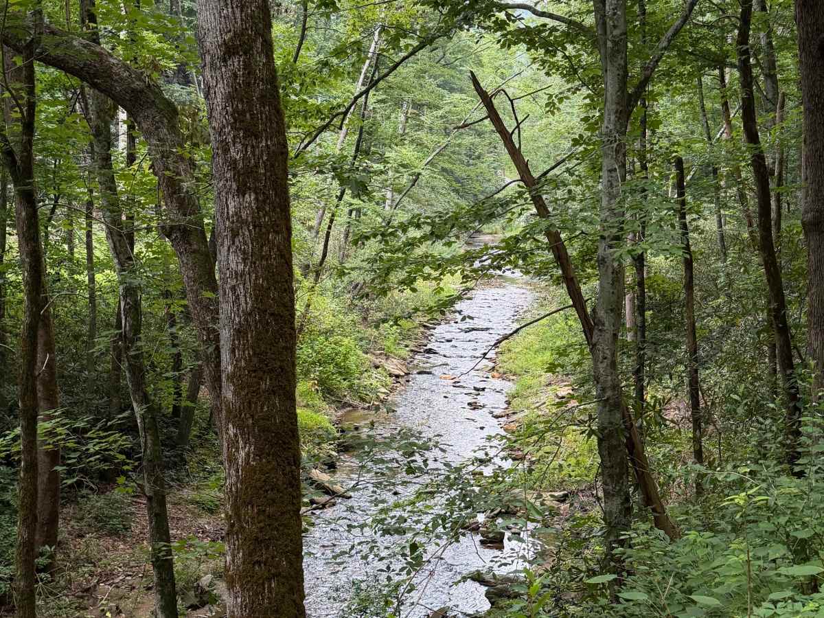 Little Buck Creek - FS 470 photo 3