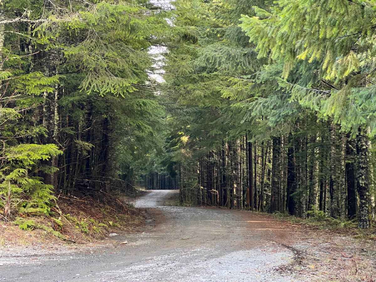 Green Mountain Gravel Pits photo 4