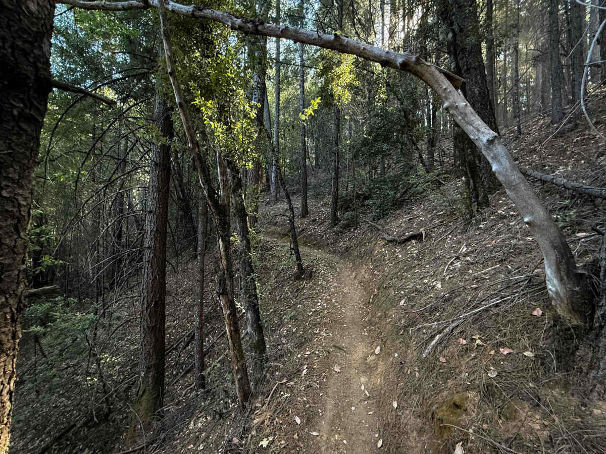 Trail 5-1 (11E32) photo 4