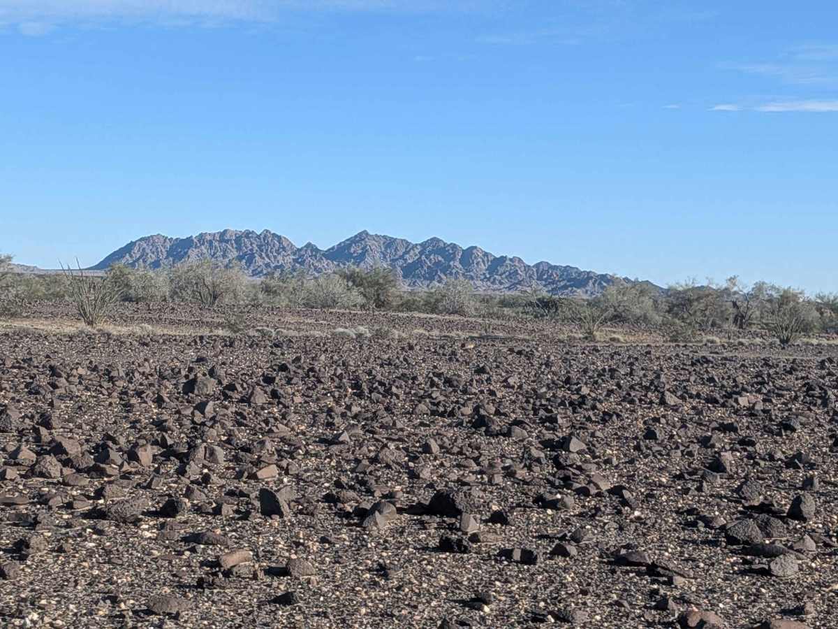 BLM 640 photo 6