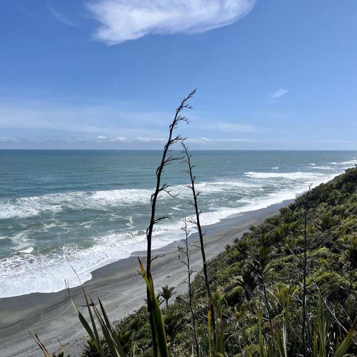 Near Point Elizabeth Lookout Track Near Point Elizabeth Lookout Track