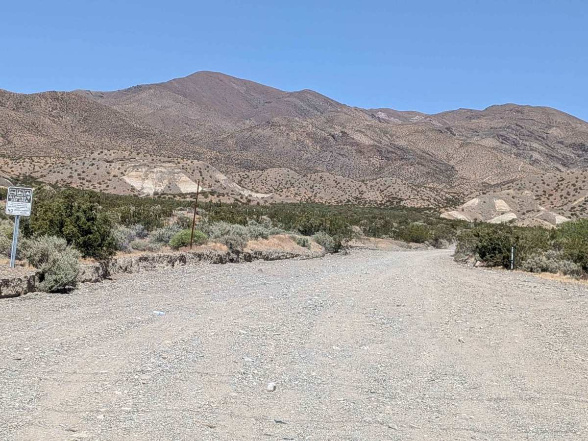 Mesquite Canyon South photo 6