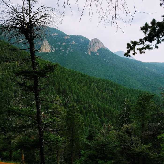 Near Mays Peak Ramble via Penrose Trail (#665)