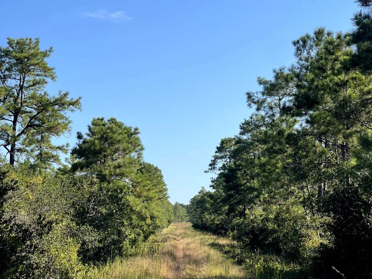 Hunters Road, North Carolina | Off-Road Trail Maps, Difficulty, Trail ...